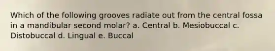 Which of the following grooves radiate out from the central fossa in a mandibular second molar? a. Central b. Mesiobuccal c. Distobuccal d. Lingual e. Buccal