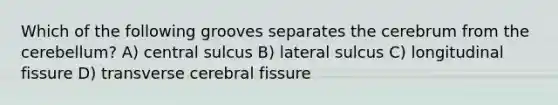 Which of the following grooves separates the cerebrum from the cerebellum? A) central sulcus B) lateral sulcus C) longitudinal fissure D) transverse cerebral fissure