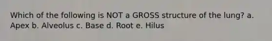 Which of the following is NOT a GROSS structure of the lung? a. Apex b. Alveolus c. Base d. Root e. Hilus
