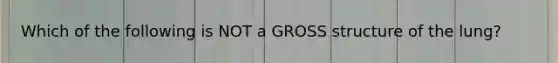 Which of the following is NOT a GROSS structure of the lung?