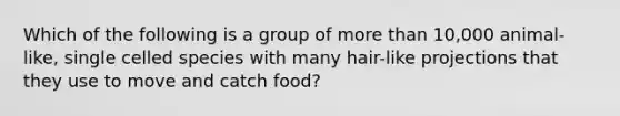 Which of the following is a group of more than 10,000 animal-like, single celled species with many hair-like projections that they use to move and catch food?