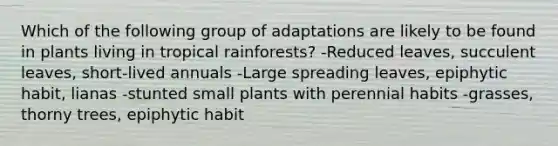 Which of the following group of adaptations are likely to be found in plants living in tropical rainforests? -Reduced leaves, succulent leaves, short-lived annuals -Large spreading leaves, epiphytic habit, lianas -stunted small plants with perennial habits -grasses, thorny trees, epiphytic habit