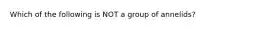 Which of the following is NOT a group of annelids?