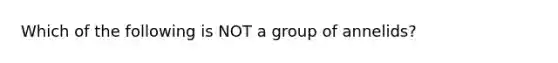 Which of the following is NOT a group of annelids?