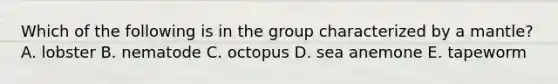 Which of the following is in the group characterized by a mantle? A. lobster B. nematode C. octopus D. sea anemone E. tapeworm