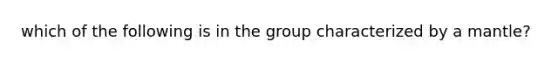 which of the following is in the group characterized by a mantle?