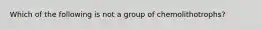 Which of the following is not a group of chemolithotrophs?