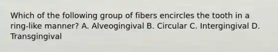 Which of the following group of fibers encircles the tooth in a ring-like manner? A. Alveogingival B. Circular C. Intergingival D. Transgingival