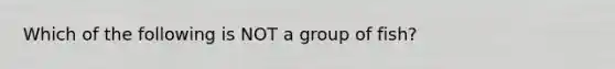 Which of the following is NOT a group of fish?