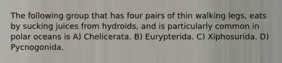 The following group that has four pairs of thin walking legs, eats by sucking juices from hydroids, and is particularly common in polar oceans is A) Chelicerata. B) Eurypterida. C) Xiphosurida. D) Pycnogonida.