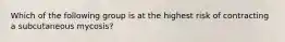 Which of the following group is at the highest risk of contracting a subcutaneous mycosis?