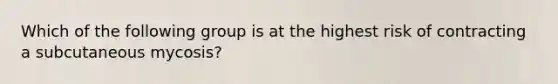 Which of the following group is at the highest risk of contracting a subcutaneous mycosis?