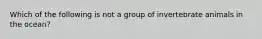 Which of the following is not a group of invertebrate animals in the ocean?