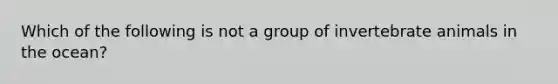 Which of the following is not a group of invertebrate animals in the ocean?