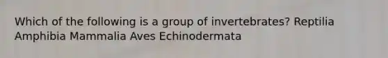 Which of the following is a group of invertebrates? Reptilia Amphibia Mammalia Aves Echinodermata