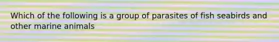 Which of the following is a group of parasites of fish seabirds and other marine animals