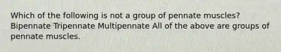 Which of the following is not a group of pennate muscles? Bipennate Tripennate Multipennate All of the above are groups of pennate muscles.