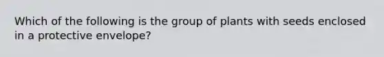 Which of the following is the group of plants with seeds enclosed in a protective envelope?