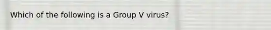 Which of the following is a Group V virus?