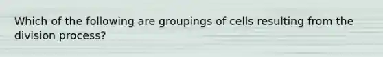 Which of the following are groupings of cells resulting from the division process?