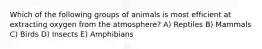 Which of the following groups of animals is most efficient at extracting oxygen from the atmosphere? A) Reptiles B) Mammals C) Birds D) Insects E) Amphibians