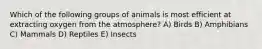 Which of the following groups of animals is most efficient at extracting oxygen from the atmosphere? A) Birds B) Amphibians C) Mammals D) Reptiles E) Insects