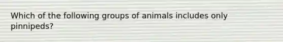 Which of the following groups of animals includes only pinnipeds?