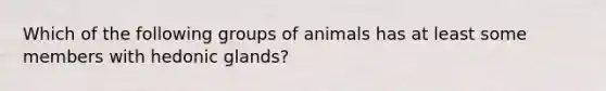 Which of the following groups of animals has at least some members with hedonic glands?