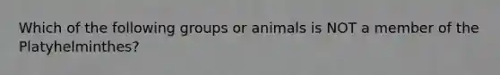 Which of the following groups or animals is NOT a member of the Platyhelminthes?