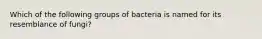 Which of the following groups of bacteria is named for its resemblance of fungi?