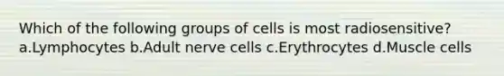 Which of the following groups of cells is most radiosensitive? a.Lymphocytes b.Adult nerve cells c.Erythrocytes d.Muscle cells