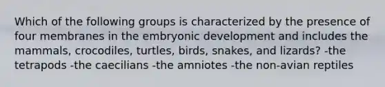 Which of the following groups is characterized by the presence of four membranes in the embryonic development and includes the mammals, crocodiles, turtles, birds, snakes, and lizards? -the tetrapods -the caecilians -the amniotes -the non-avian reptiles