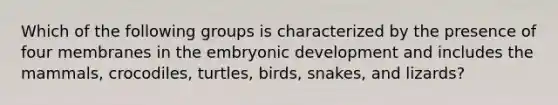 Which of the following groups is characterized by the presence of four membranes in the embryonic development and includes the mammals, crocodiles, turtles, birds, snakes, and lizards?