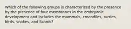 Which of the following groups is characterized by the presence by the presence of four membranes in the embryonic development and includes the mammals, crocodiles, turtles, birds, snakes, and lizards?