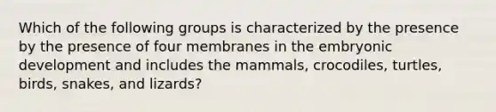 Which of the following groups is characterized by the presence by the presence of four membranes in the embryonic development and includes the mammals, crocodiles, turtles, birds, snakes, and lizards?