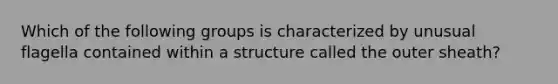 Which of the following groups is characterized by unusual flagella contained within a structure called the outer sheath?