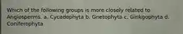 Which of the following groups is more closely related to Angiosperms. a. Cycadophyta b. Gnetophyta c. Ginkgophyta d. Coniferophyta