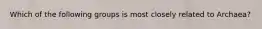 Which of the following groups is most closely related to Archaea?