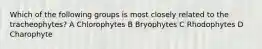 Which of the following groups is most closely related to the tracheophytes? A Chlorophytes B Bryophytes C Rhodophytes D Charophyte