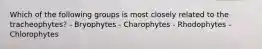 Which of the following groups is most closely related to the tracheophytes? - Bryophytes - Charophytes - Rhodophytes - Chlorophytes