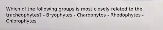 Which of the following groups is most closely related to the tracheophytes? - Bryophytes - Charophytes - Rhodophytes - Chlorophytes