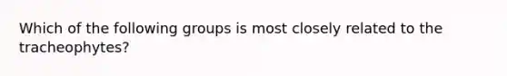 Which of the following groups is most closely related to the tracheophytes?