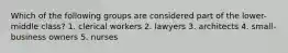 Which of the following groups are considered part of the lower-middle class? 1. clerical workers 2. lawyers 3. architects 4. small-business owners 5. nurses