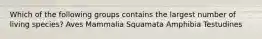 Which of the following groups contains the largest number of living species? Aves Mammalia Squamata Amphibia Testudines