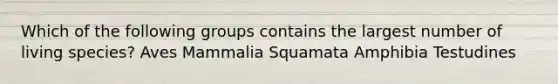 Which of the following groups contains the largest number of living species? Aves Mammalia Squamata Amphibia Testudines