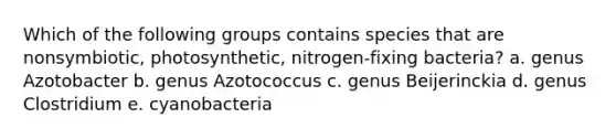 Which of the following groups contains species that are nonsymbiotic, photosynthetic, nitrogen-fixing bacteria? a. genus Azotobacter b. genus Azotococcus c. genus Beijerinckia d. genus Clostridium e. cyanobacteria