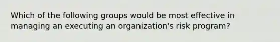 Which of the following groups would be most effective in managing an executing an organization's risk program?