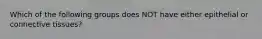 Which of the following groups does NOT have either epithelial or connective tissues?