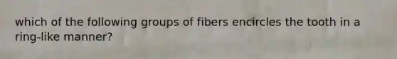 which of the following groups of fibers encircles the tooth in a ring-like manner?