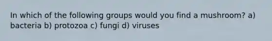 In which of the following groups would you find a mushroom? a) bacteria b) protozoa c) fungi d) viruses